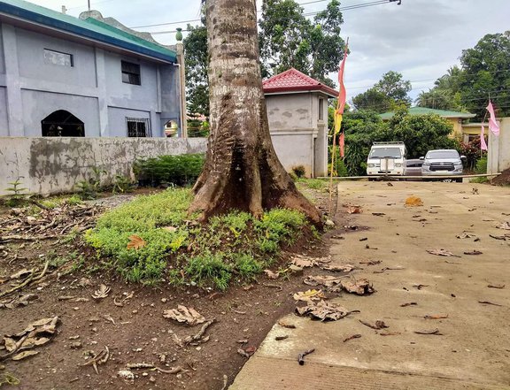 200 SQ METER LOT FOR SALE AT BRGY. ULAT SILANG CAVITE