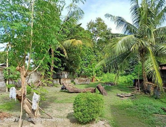 House and Lot in Bataan can be use as retirement a farm house