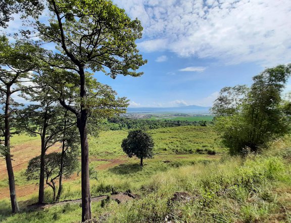 FARM LOTS FOR SALE IN MORONG RIZAL WITH MOUNTAIN VIEW