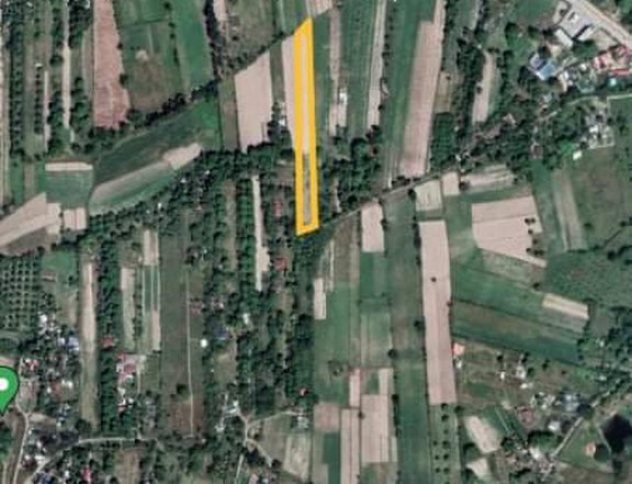 RESIDENTIAL/AGRICULTURAL LOT FOR SALE!  Located at Nagbunga Castillej