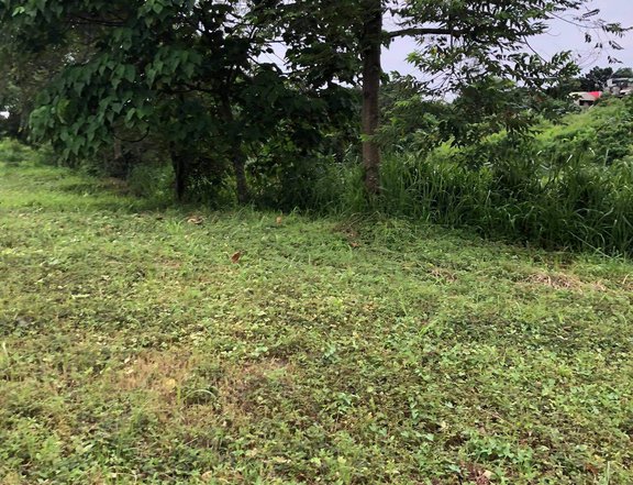 Havila Taytay Overlooking Residential Lot Assume Balance