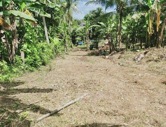 Very Affordable Residential Farm Lot near Indang Town Proper