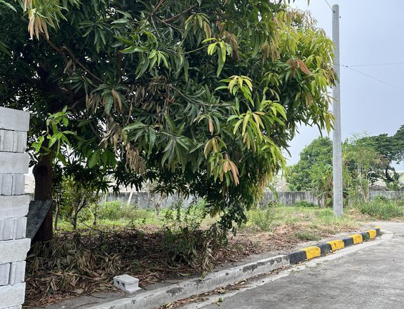 195 sqm Residential Lot For Sale By Owner in Taytay Rizal