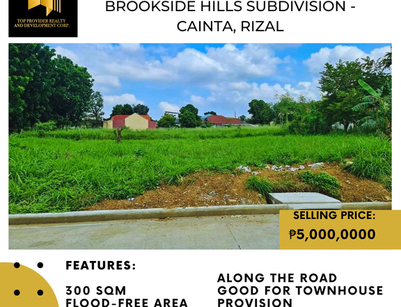 300 sqm Residential Lot For Sale in Cainta Rizal