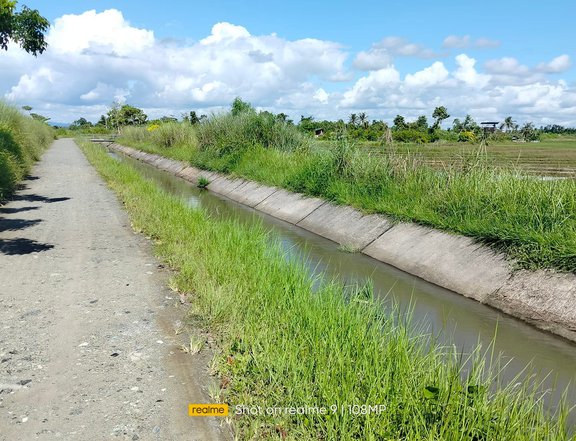 2 hectares irrigated ricefield clean title at Ubay Bohol 150/sqm nego