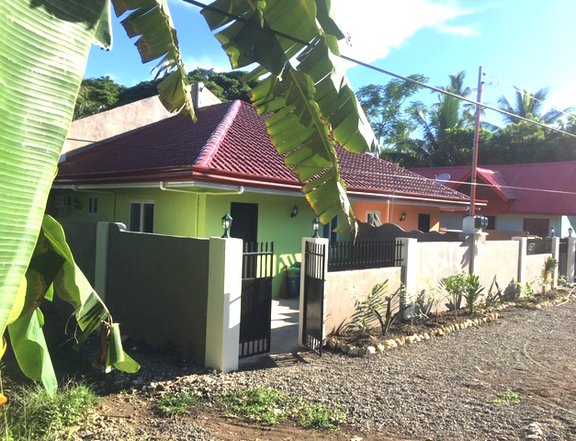 INVESTMENT OPPORTUNITY, 3 RENTAL HOUSES 4 SALE, Nr MOMO BEACH, PANGLAO