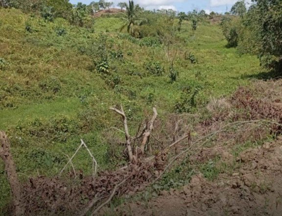 Rodriguez Montalban 110 Hectares for  Sale in Rizal