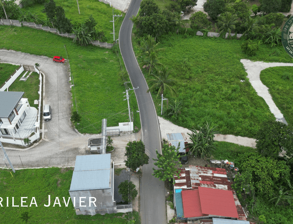 Semi-Commercial Lot For Sale in Amadeo, Cavite