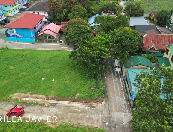 Commercial Lot For Sale in Silang, Cavite