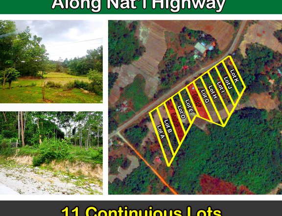 New Cuyo, Roxas Residential Subdivision Lots Along Natl Highway