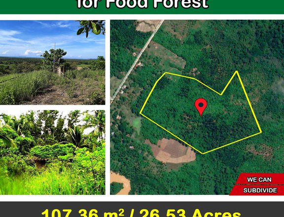 107,366 m2 / 26.53 Acres Large Parcel of Land for Food Forest