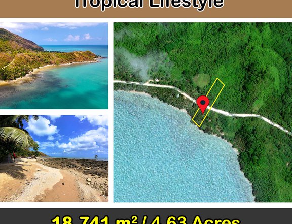 18,741 m2/4.63 Acres Sunrise Seafront for Tropical Lifestyle in Roxas