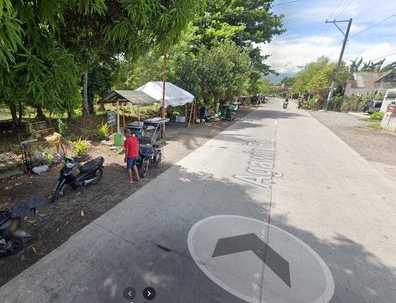 36,000 SQ M 3.6 HECTARES RESIDENTIAL VACANT LOT  SAMPALOKAN, PAGSANJAN, LAGUNA