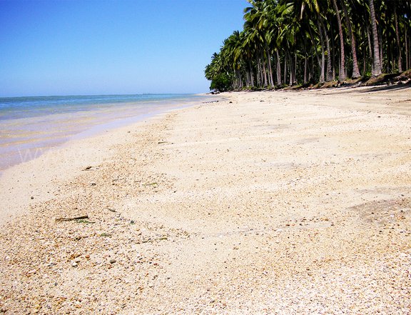145 HECTARES LONG BEACH FOR SALE