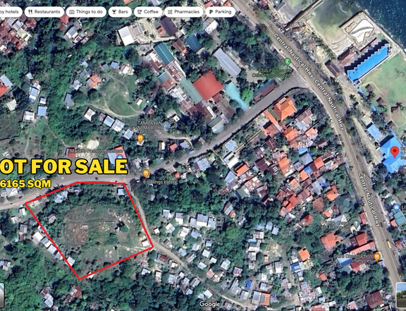 6,165 sqm Residential Lot For Sale By Owner in Danao City, Cebu