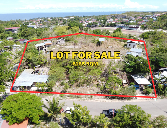6,165 sqm Residential Lot For Sale in Danao City, Cebu