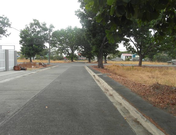 228 sqm Lot in Suburbiia North Phase 1, Maimpis, San Fernando Pampanga