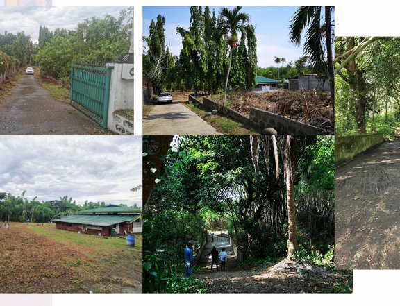 Residential/Commercial Lots  for Sale
