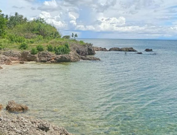 Discounted for Retirement Beach Property For Sale-Installment in San Remigio Cebu