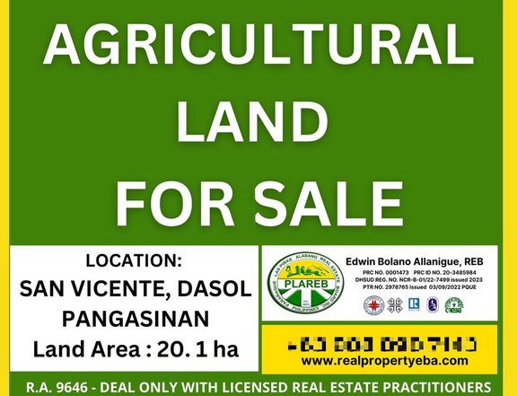 20.2 hectares agricultural farm for sale in San Vicente, Dasol Pangasinan