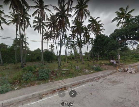 1 hectare Pan-Philippine Highway lots For SALE in Sariaya Quezon