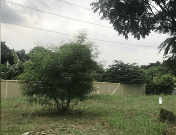 Lot for Sale in McKinley West Village Taguig City
