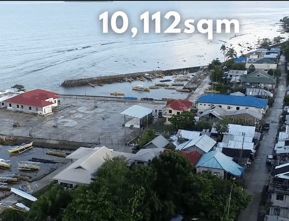 Beachfront & Roadfront Lot For Sale  1 Hectare in San Benito, Siargao (Titled)