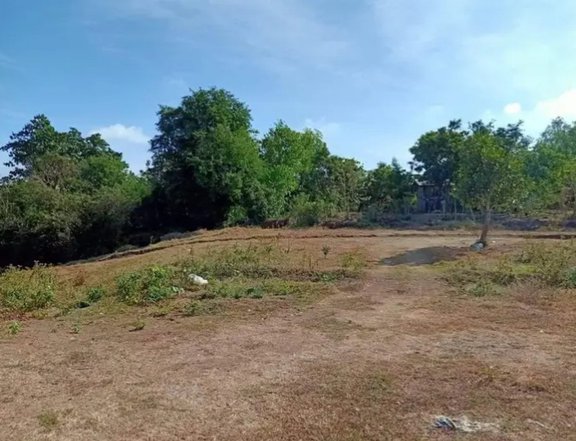 Residential Lot only for Sale in San Fernando La Union Diversion Road