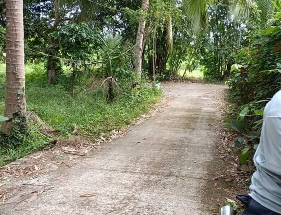 FARM LOT FOR SALE  INDANG CAVITE LOT near Mendez Crossing Tagaytay