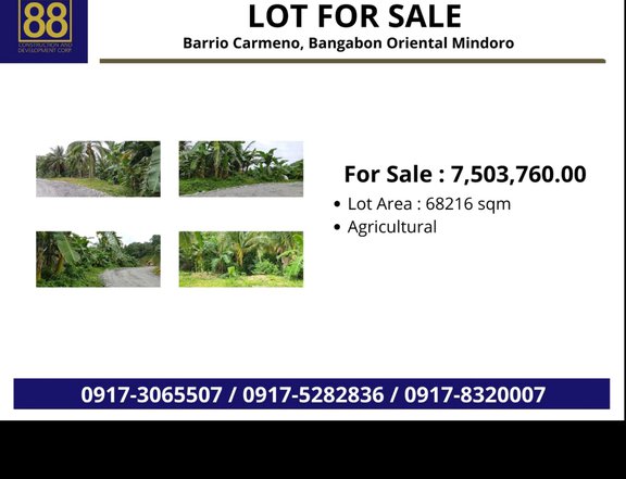 6 hectare agricultural farm with fruit bearing for sale