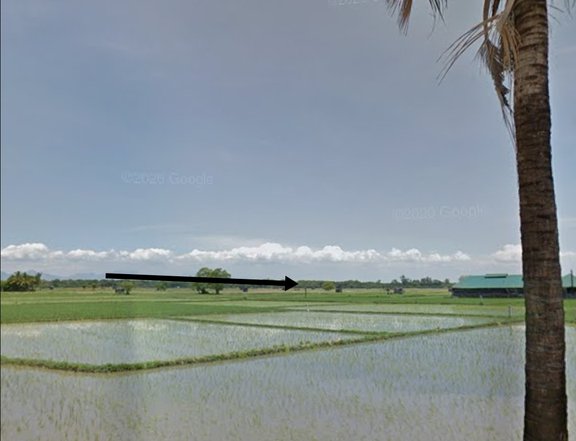 Agricultural Farm For Sale in Samal Bataan