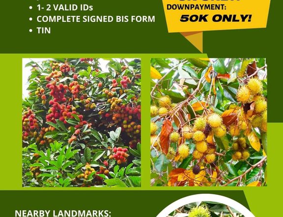 Farm Lot Installment up to 4yrs 0% Interest w/ Fruit Trees