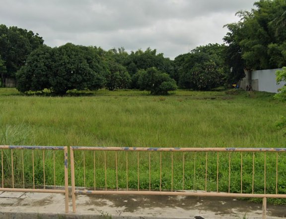 18191 sqm Commercial Lot For Sale in Santa Barbara Pangasinan
