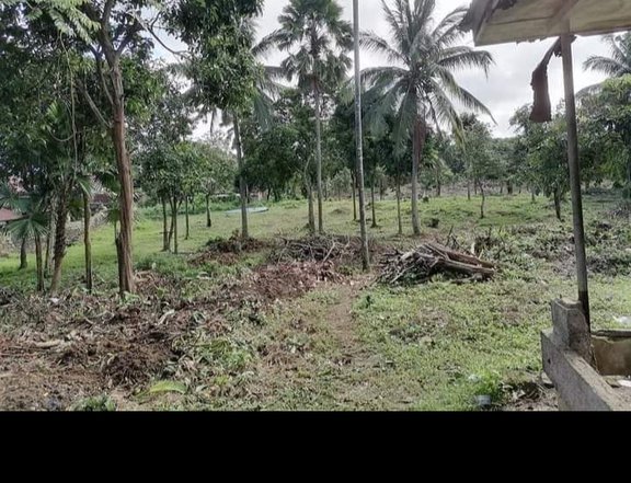 120 sqm Residential Farm For Sale in Silang Cavite