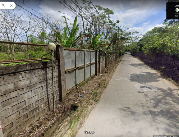 FOR SALE 1.38 hectare LOT in Brgy. Buho, Amadeo Cavite