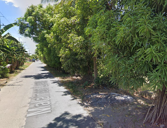 381 sqm Residential Lot For Sale in Naic Cavite