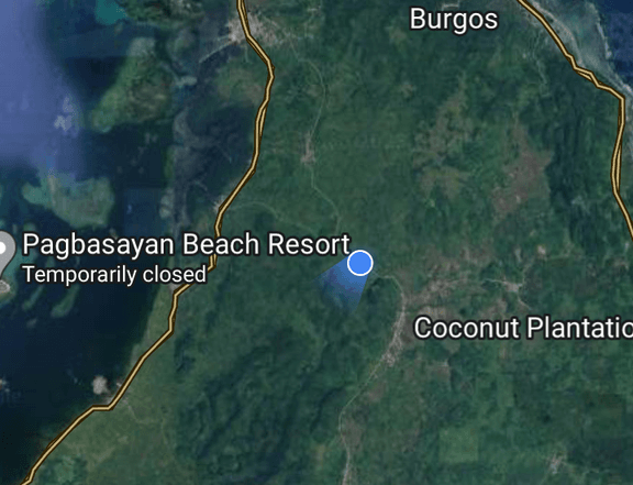 8736 sqm Raw Land For Sale in Santa Monica (Sapao) Surigao del Norte