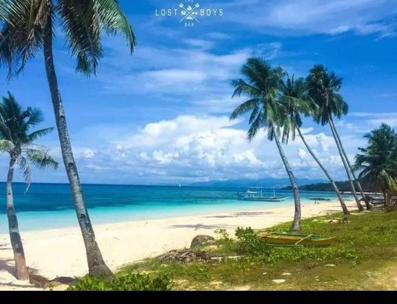 Hambil carabao island  beach front for sale