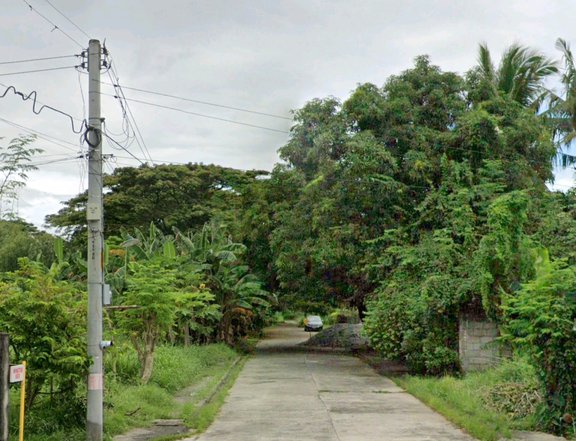 Residential Subd. Lot for Sale near Luisita San Miguel, Tarlac City