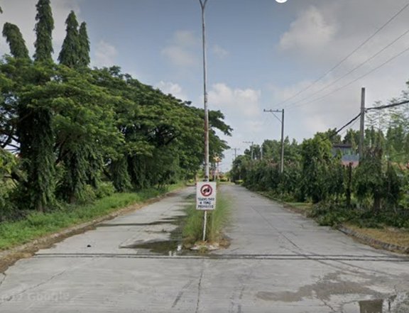 200sqm. Residential Subd. Lot at the back Citymall Tarlac City
