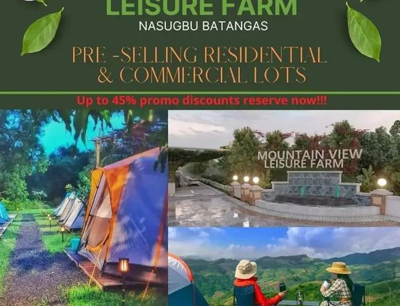 250 sqm Lot For Sale in Nasugbu Batangas