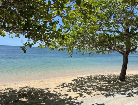 150 sqm Beach Property For Sale in Calatagan Batangas