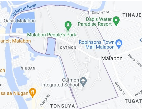 For Sale 3 hectares Catmon Malabon lot