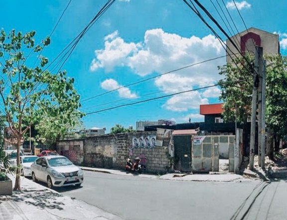 868 sqm Commercial Lot For Sale in Makati Metro Manila