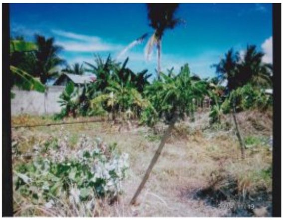 500 sqm Residential Lot For Sale in Roxas City Capiz