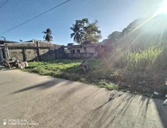 360 sqm Commercial Lot For Sale in Coron Town Proper