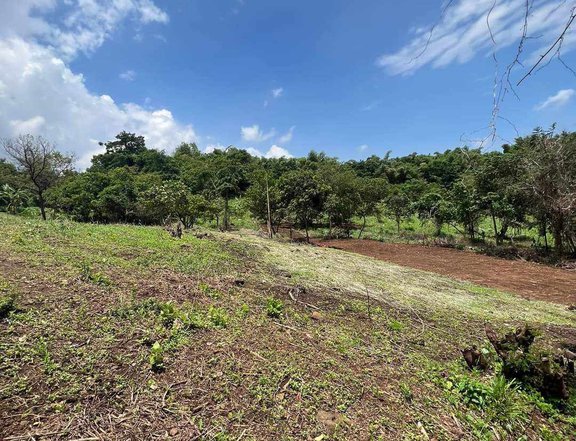 Discounted 100 sqm Residential Farm For Sale in Morong Rizal