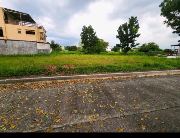 RUSH SALE  142 sqm prime residential lot RIO DE ORO Php  11,000/sqm only Cash Buyer