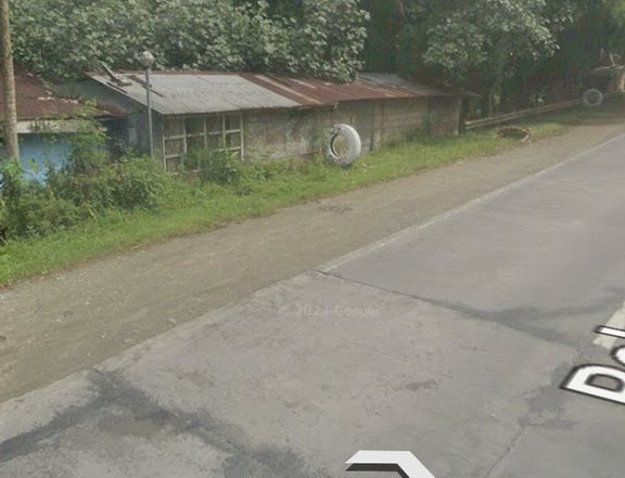 Land along Rolando Andaya Hiway Tagkawayan Quezon near Bicol