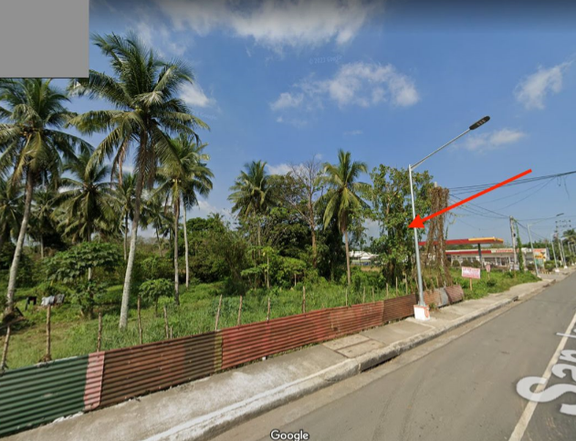 For Sale 3.7 Hectare Agricultural Lot in Batangas
